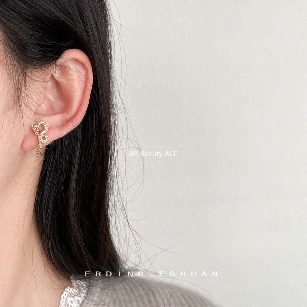 C관 - 용의 해 기념 14K 도금 미세 큐빅 독창적 디자인 귀걸이 [3587] 24.01-2