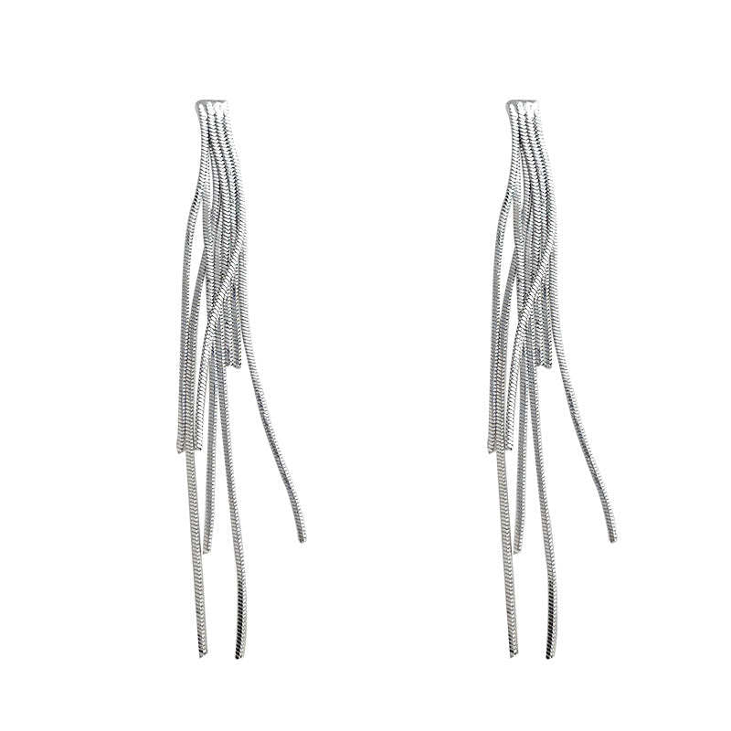 C관 - 드롭 태슬 디자인 925 은침 귀걸이 [5780] 25.03-4