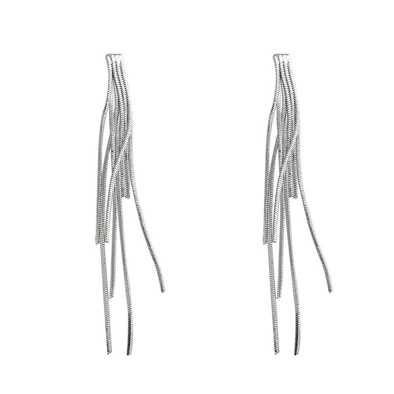 C관 - 드롭 태슬 디자인 925 은침 귀걸이 [5780] 25.03-4