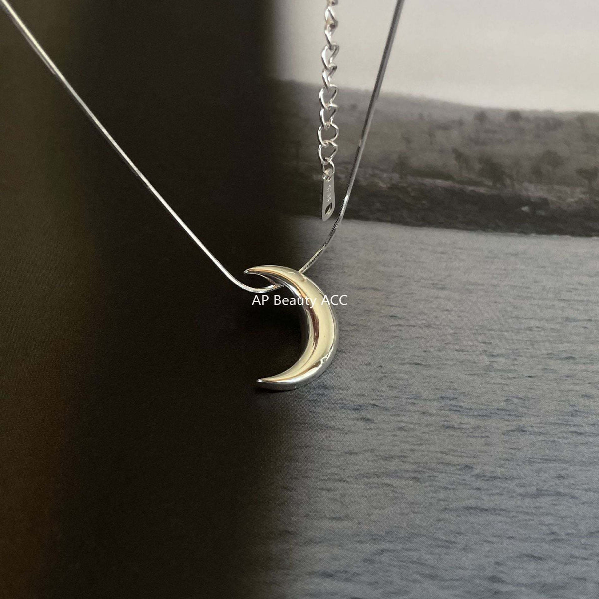 F관 - 925 실버 달 디자인 목걸이 [B1168] 25.12-3